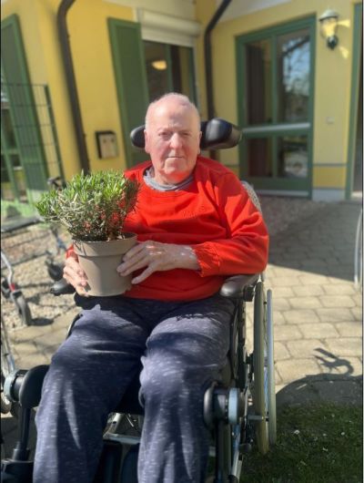 Hochbeet Bepflanzung – Bild 4